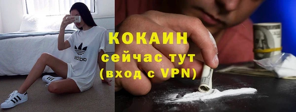 стаф Алзамай