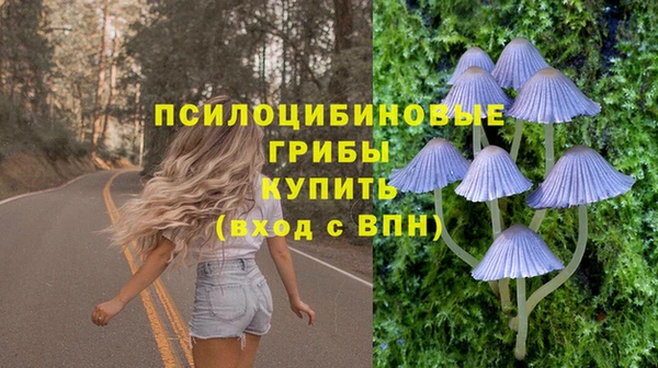 стаф Алзамай